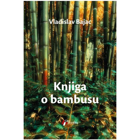 Ilustrácia rastu bambusu