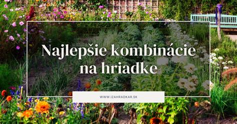 Infografika zobrazujúca dobré a zlé kombinácie rastlín