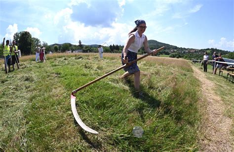 kosenie rozkvitnutej lúky ručnou kosou