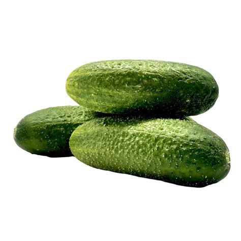 Ilustrácia zberu uhorky