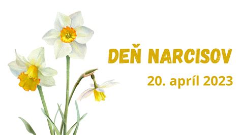 Symbol narcisu ako symbolu Dňa narcisov