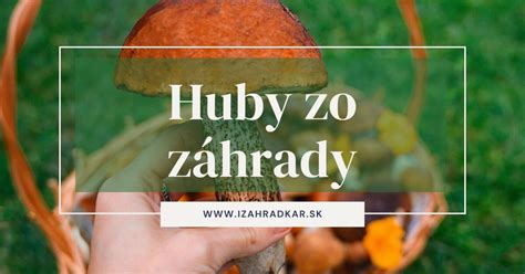 Druhy húb vhodné na domáce pestovanie