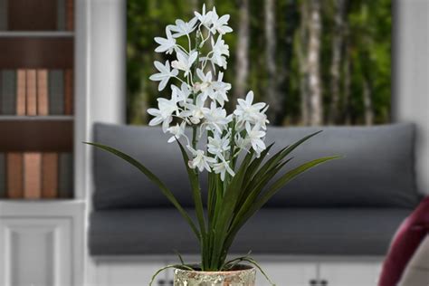 Detail umelých kvetov a listov orchidey