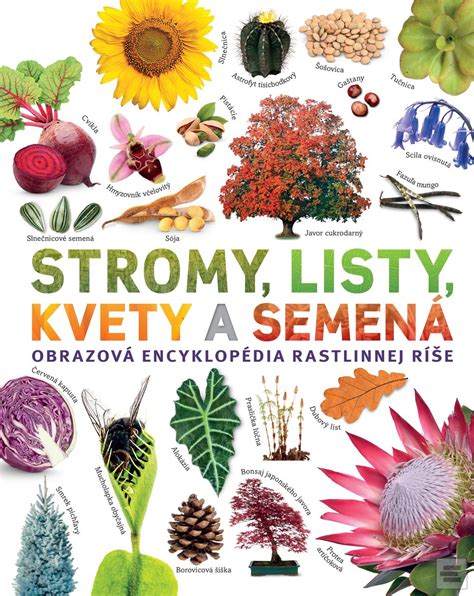 Rôznorodosť kvetov pakostu