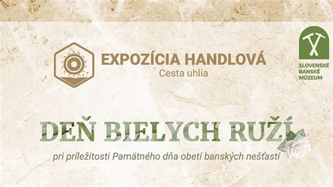 Záhradník sa stará o bielu ružu