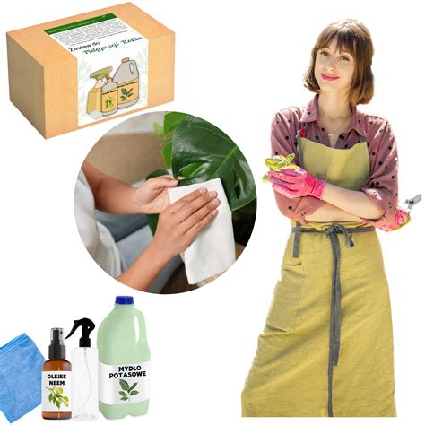 Ilustrácia havajskej ruže s detailmi listov a kvetov