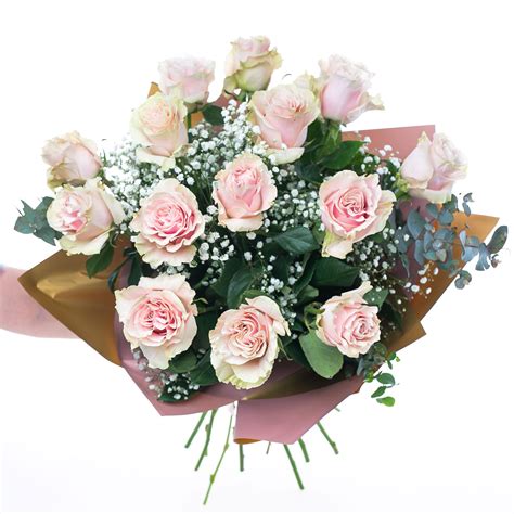 kytica ružových ruží s gypsophilou