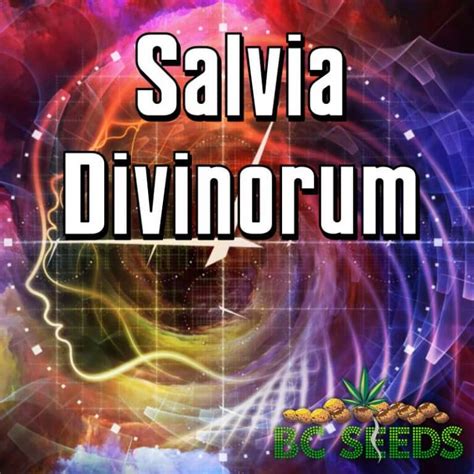 Mapa pôvodu Salvia divinorum v Mexiku