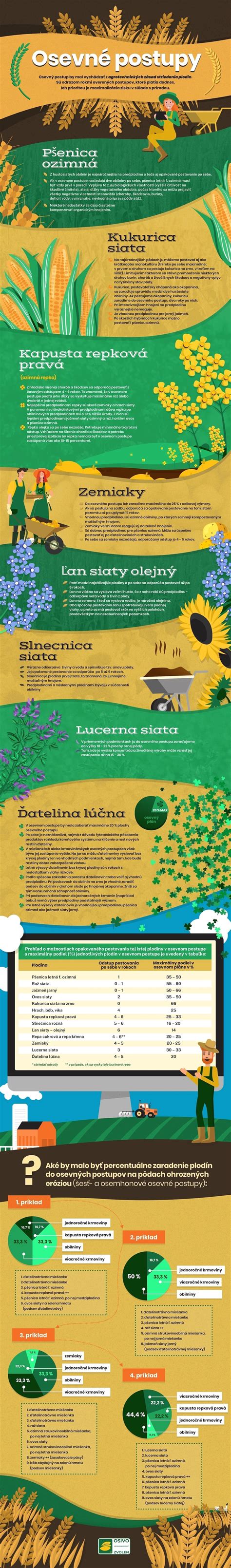 Infografika znázorňujúca správny postup presádzania sadeníc