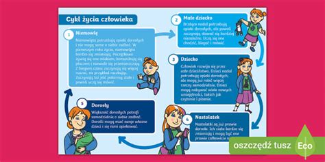 Infografika o reprodukčnom cykle sumčeka afrického