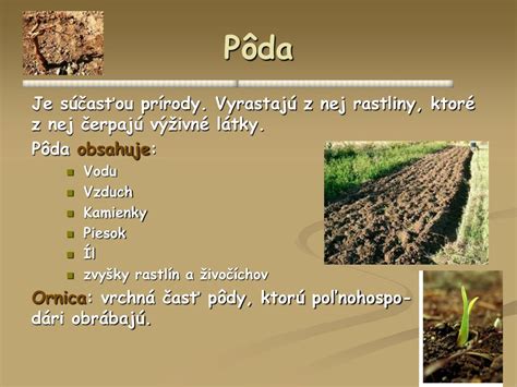 zloženie pôdy a štruktúra ílu