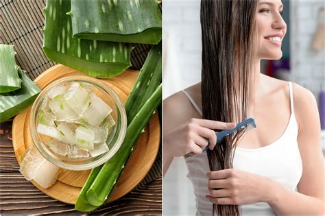 Domáce produkty z Aloe vera