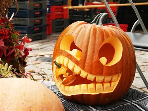 Náčrt spôsobu štepenia melóna na tekvicu