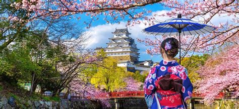 Rozkvitnutý zámok Himeji a sakury v Japonsku