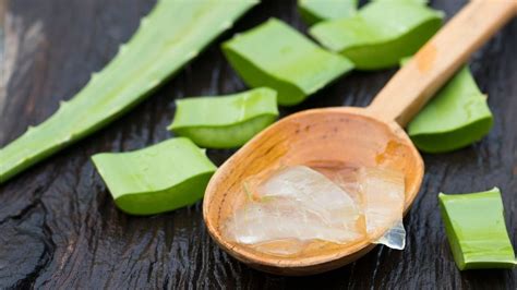 Benefity Aloe Vera pre zdravie