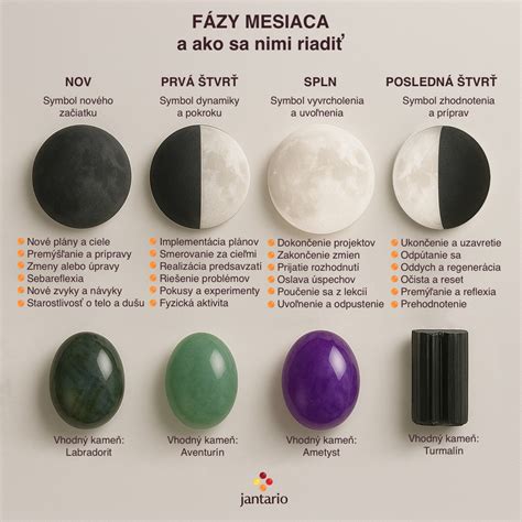 Infografika: Fázy rastu rasce lúčnej