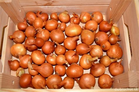 Skladovanie cibuliek tigridie