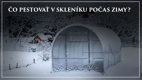 Uskladnenie hľúz kany počas zimy