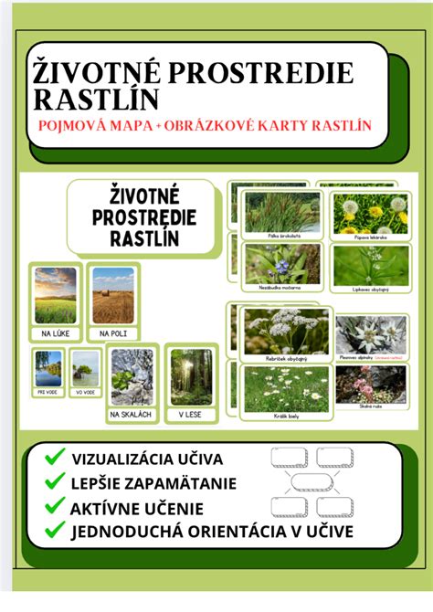 Mapa orientácie okien a vhodných rastlín