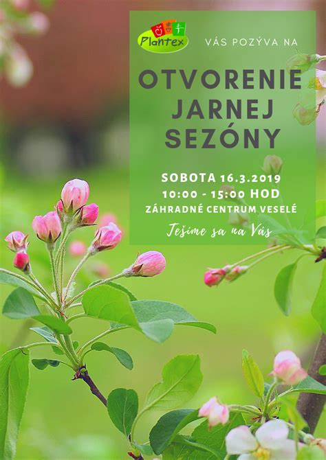 Ilustračná fotografia jarnej sezóny v záhradníctve