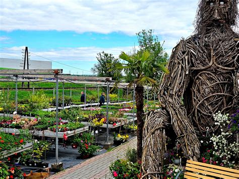 Záhradné centrum s ponukou rastlín