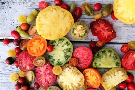 Ilustračná fotografia paradajok odrody Superexotik