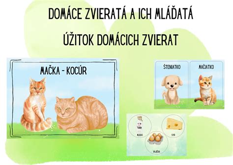 Juka a domáce zvieratá