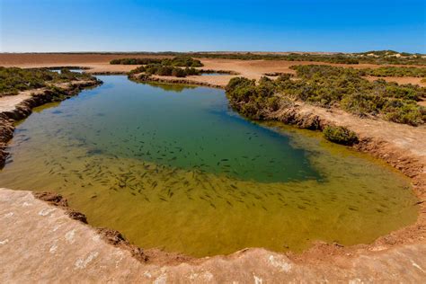 Zelená oáza v mestskom byte