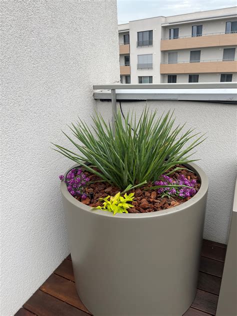 Terasa s kvetináčmi plnými fialových petúnií