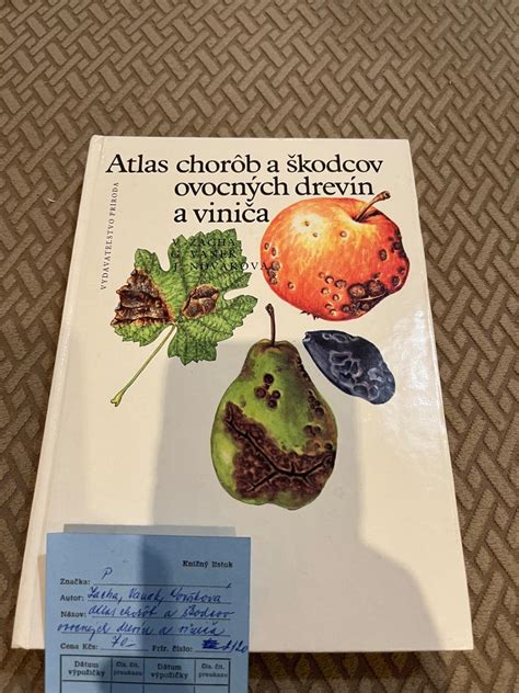 Obrázky najčastejších chorôb a škodcov mrkvy