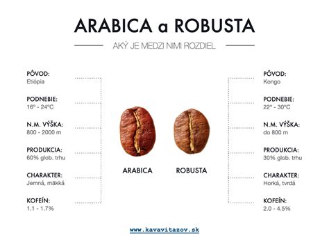 Porovnanie zŕn Arabiky a Robusty