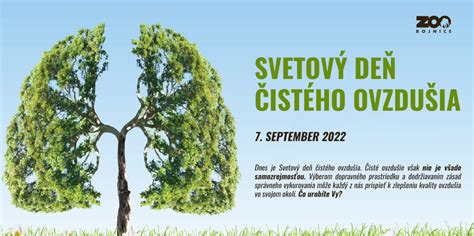 Porovnanie čistého a znečisteného plastového kvetináča