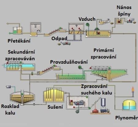 Schéma procesu čistenia vzduchu rastlinami