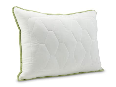 Vankúš Aloe Vera
