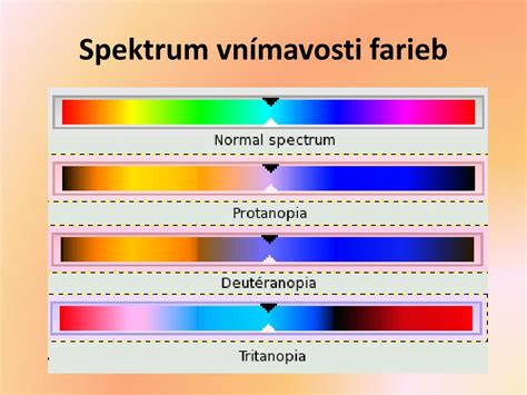 Spektrum farieb orchideí od tmavofialovej po bordovú