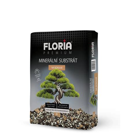 infografika: správny výber náradia na bonsaje