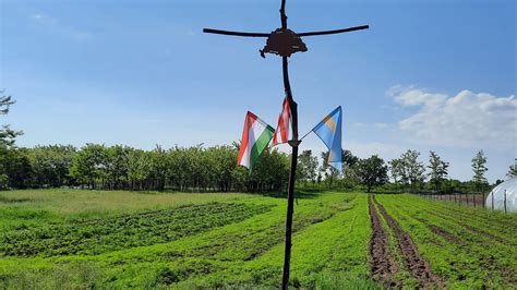 Symbolika bielych kál