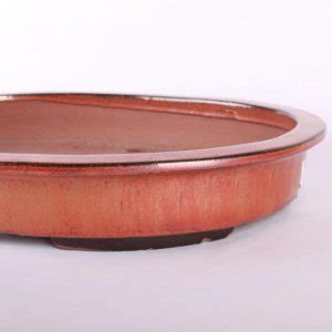 Rôzne typy drenážnych sieťok pre bonsajové misky