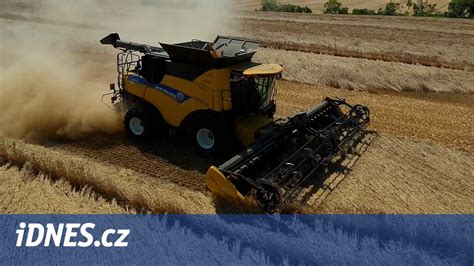 Zber pšenice na poli pomocou kombajnu