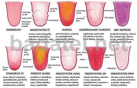 Diagram rozdelenia rýmov podľa jazyka