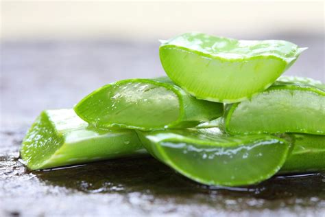 Zrezané listy aloe vera