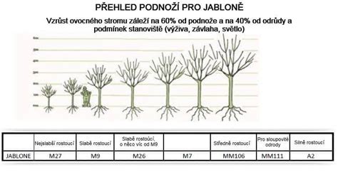 Schéma podpníkov jabloní
