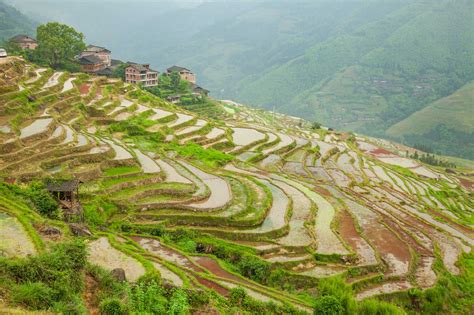 Ryžové terasy v Číne