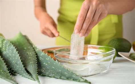 Schéma krokov na získanie gélu z listu Aloe Vera