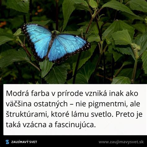 Modrá farba v prírode
