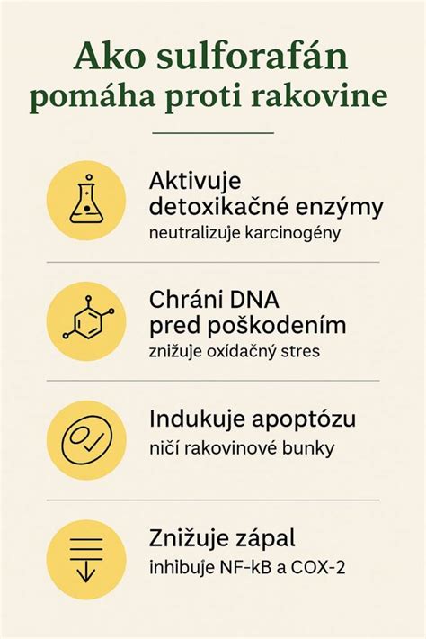 Infografika: Hlavné liečivé účinky kypriny úzkolistej