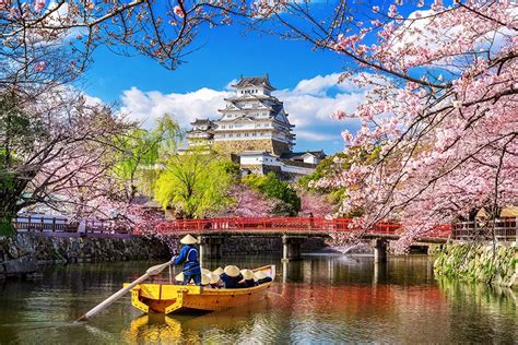 Rozkvitnutý zámok Himeji v Japonsku