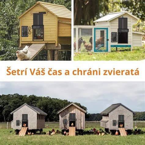 Moderný kurín