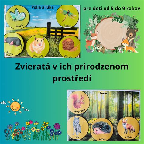Ilustrácia Smilu piesočného v jeho prirodzenom prostredí