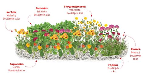 Návrh zeleninového záhona s rozmermi